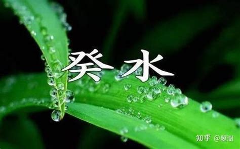 葵水 意思|癸水的解释